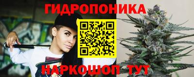 гидропоника Гусев
