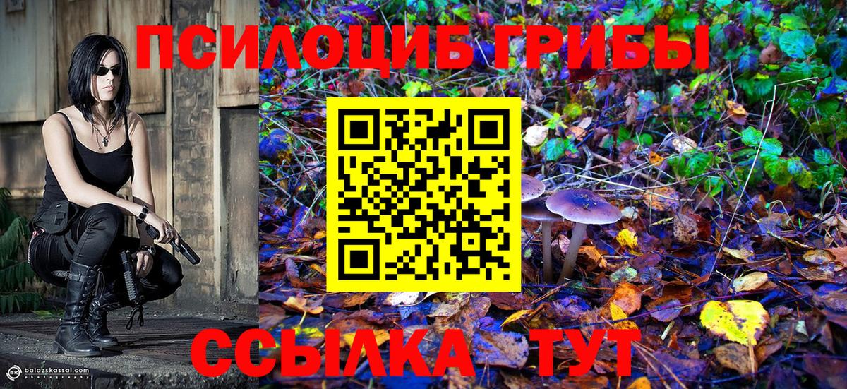 Галлюциногенные грибы Magic Shrooms  как найти закладки  Октябрьский  Вход с VPN 