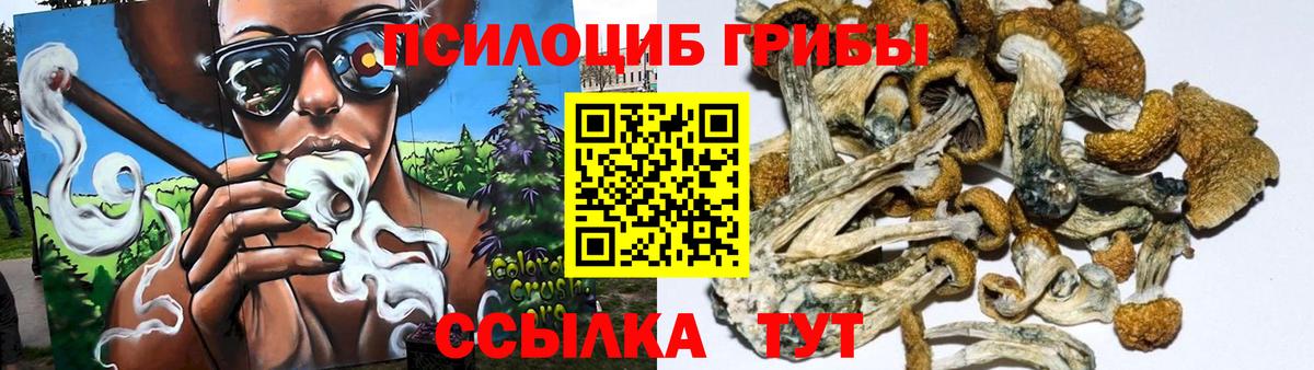 Псилоцибиновые грибы прущие грибы Октябрьский
